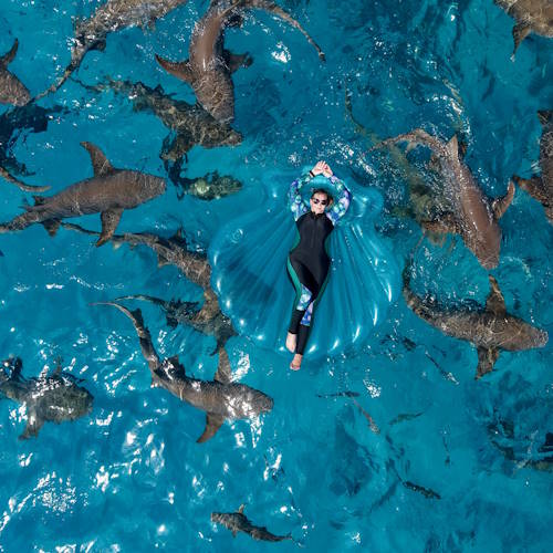 A woman in a wetsuit floating on a shell-shaped inflatable surrounded by nurse sharks in crystal-clear turquoise water, viewed from above